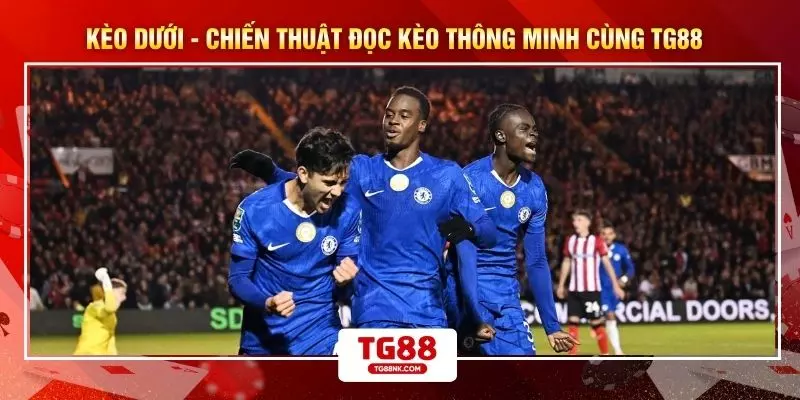 Kèo Dưới - Chiến Thuật Đọc Kèo Thông Minh Cùng TG88