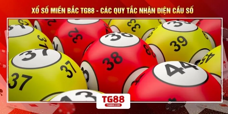 Xổ Số Miền Bắc TG88 - Các Quy Tắc Nhận Diện Cầu Số